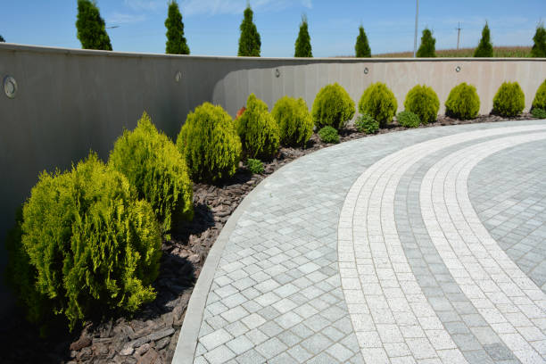 Best Residential Paver Driveway  in South Taft, CA